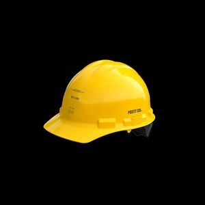 Posty Co. Post Malone hard hat